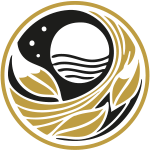 mesoterapia-infiltrada-homeopatica