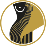 ultrasonidos-hifu-corporal